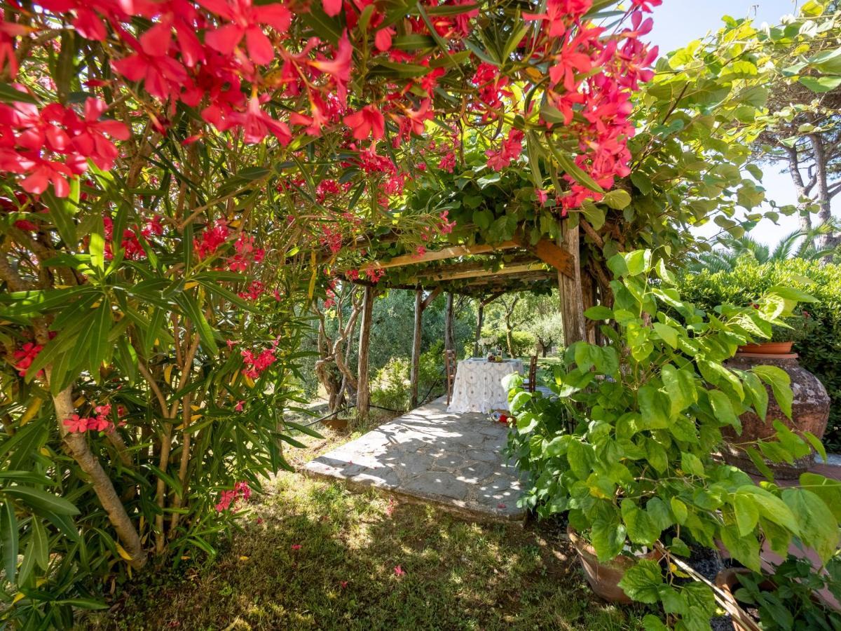 Residence Al Foionco ルッカ エクステリア 写真